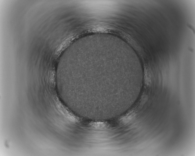 X0000103950449200810031349