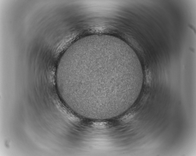 X0000103950450200810031349