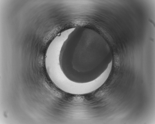 X0000103950451200810031350