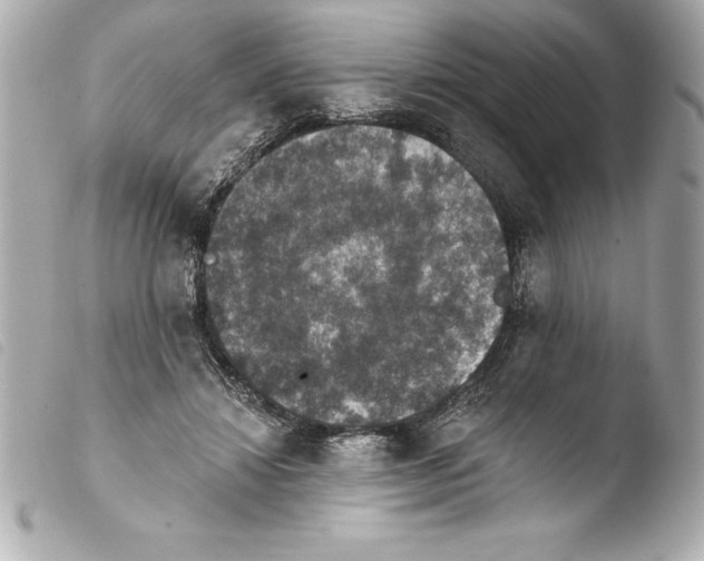 X0000103950452200810031350