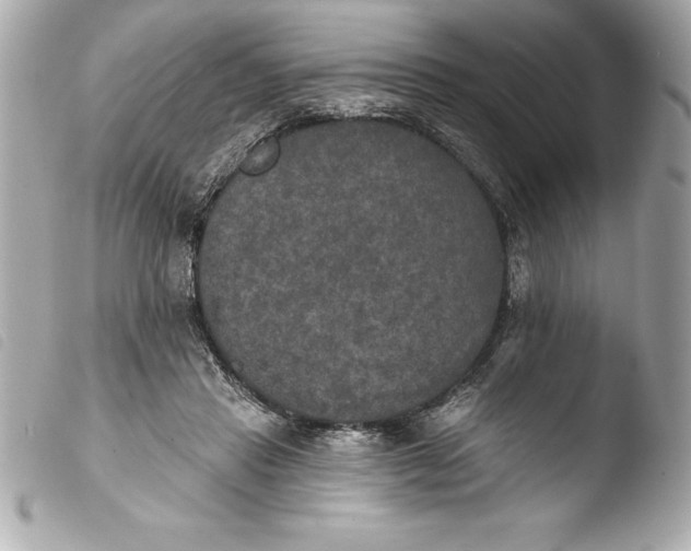 X0000103950453200810031350