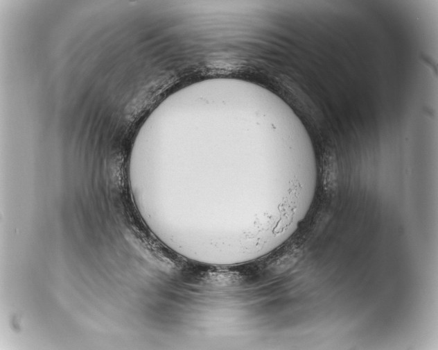 X0000103950455200810031350