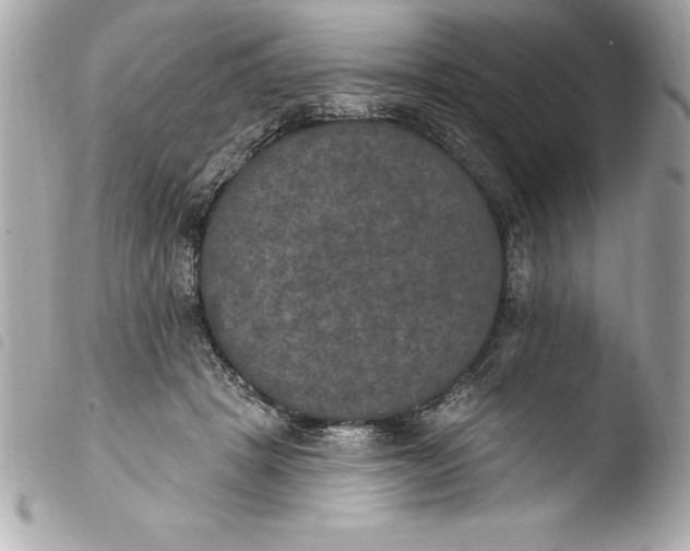 X0000103950457200810031350