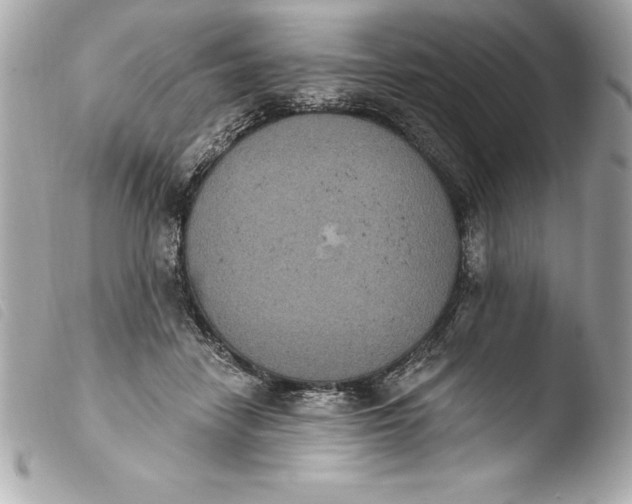 X0000103950458200810031350