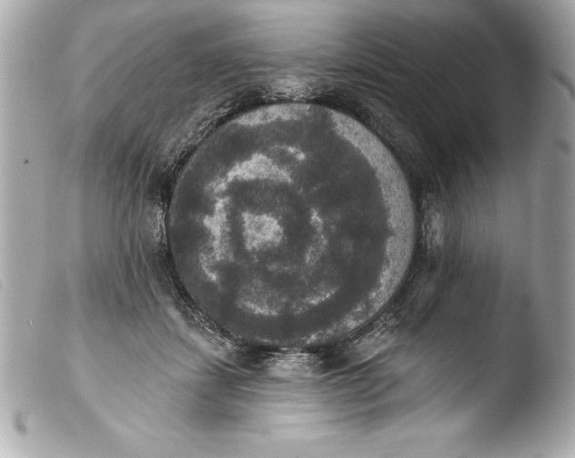 X0000103950459200810031350