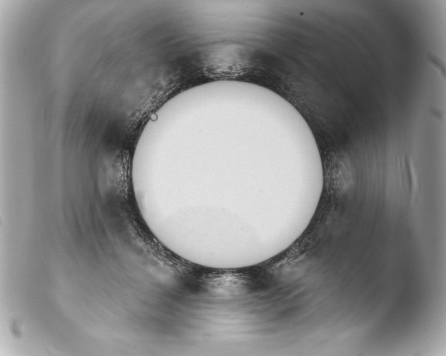 X0000103950460200810031350