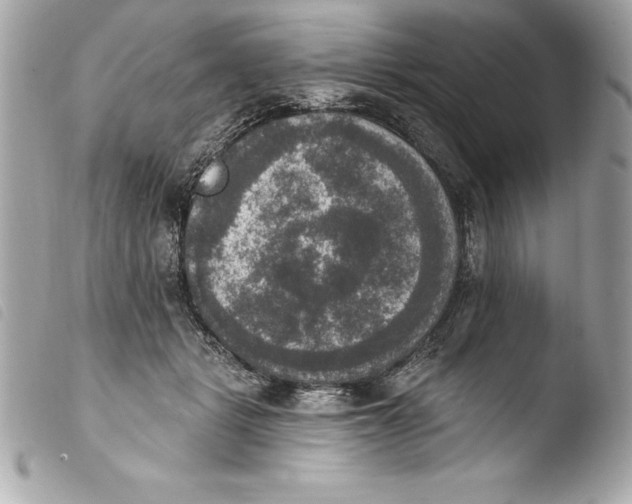 X0000103950461200810031350