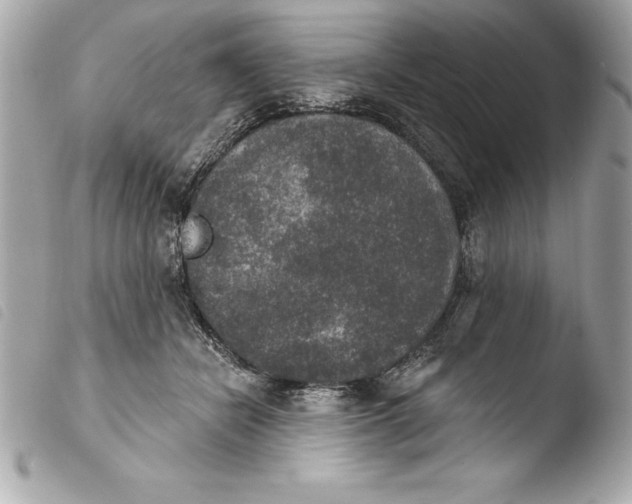 X0000103950462200810031350