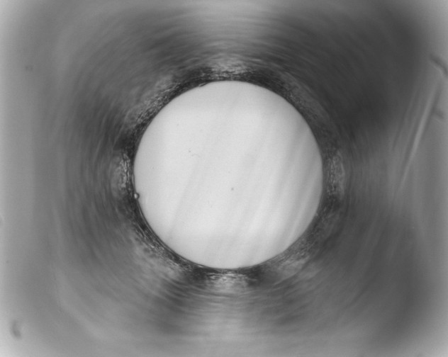 X0000103950463200810031350