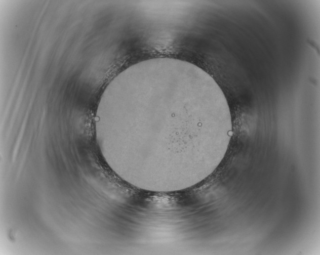 X0000103950464200810031350