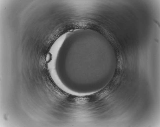 X0000103950465200810031350