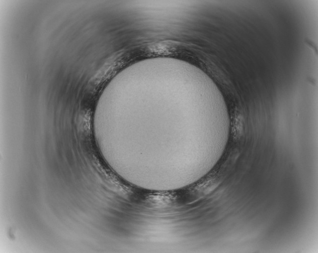 X0000103950466200810031350