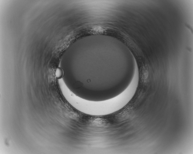 X0000103950467200810031350