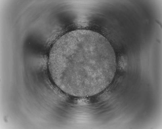 X0000103950468200810031350