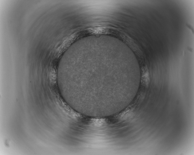 X0000103950469200810031350