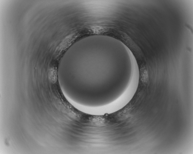 X0000103950471200810031350