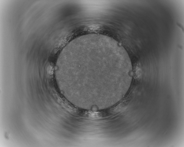 X0000103950472200810031350