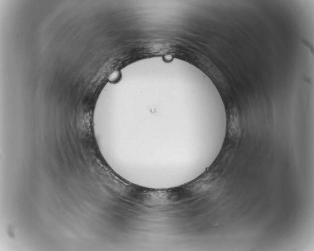 X0000103950473200810031350