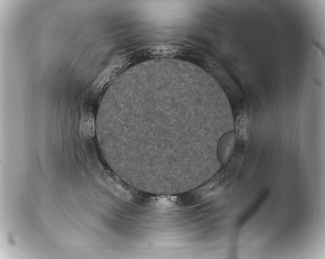 X0000103950474200810031350