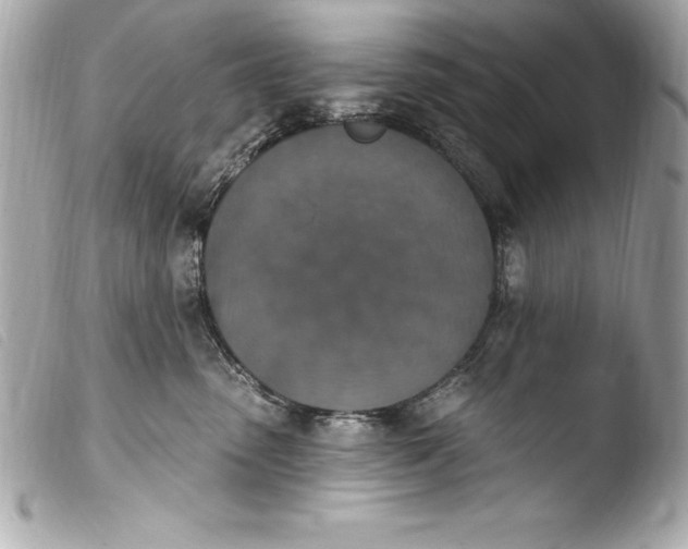 X0000103950475200810031350