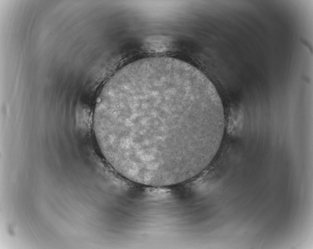 X0000103950476200810031350