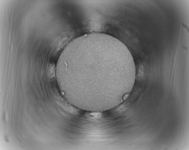 X0000103950478200810031350