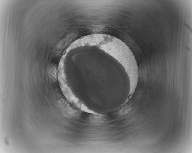 X0000103950479200810031350