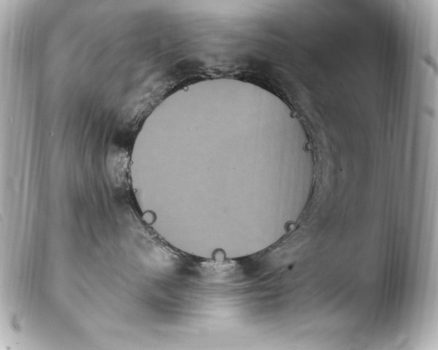 X0000103950480200810031350