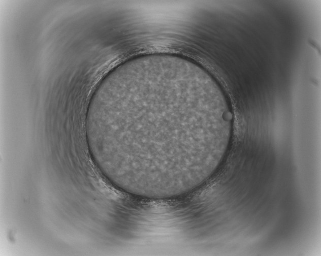 X0000103950481200810031349