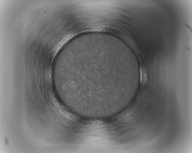 X0000103950483200810031349