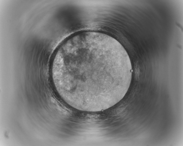 X0000103950484200810031349