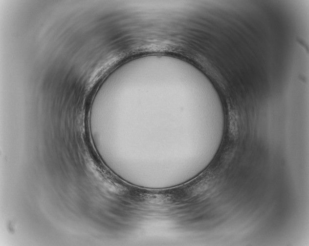 X0000103950486200810031349