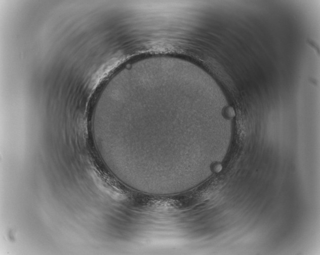 X0000103950488200810031349