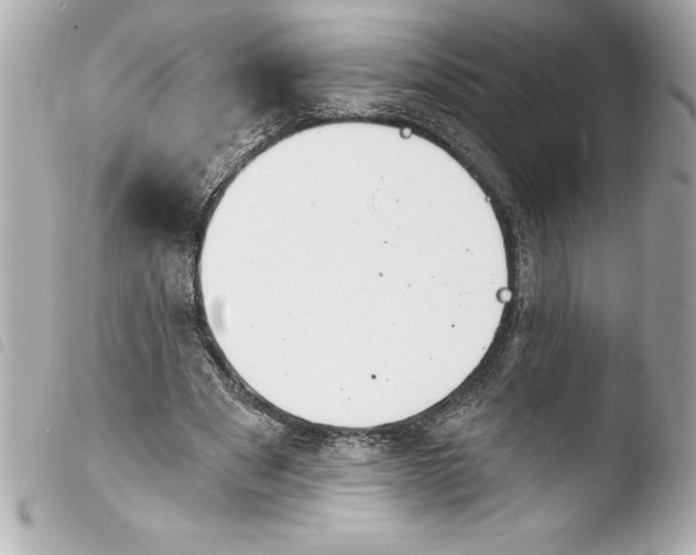 X0000103950489200810031349