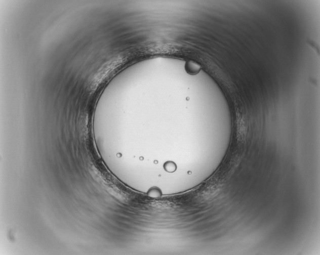 X0000103950490200810031349