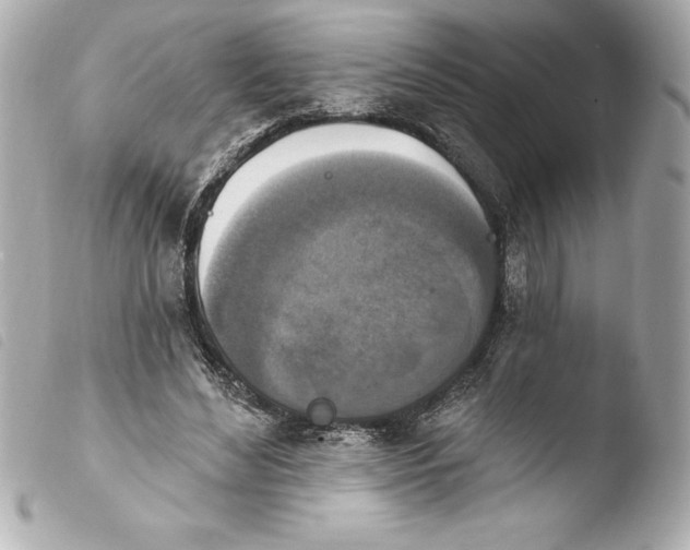 X0000103950492200810031349