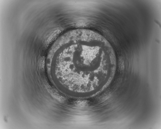 X0000103950495200810031349