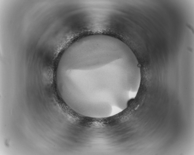 X0000103950496200810031349