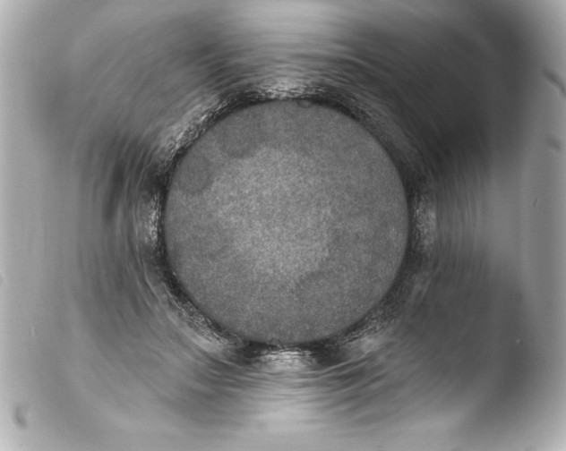 X0000103950499200810031349