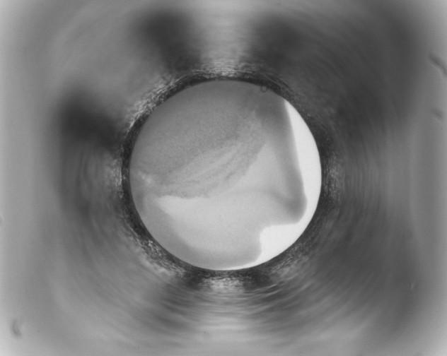 X0000103950500200810031349