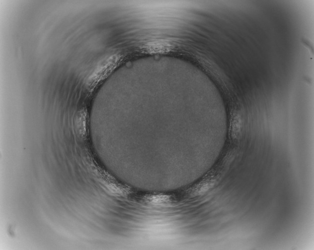 X0000103950501200810031349