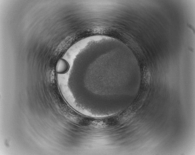 X0000103950502200810031349