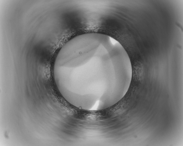 X0000103950504200810031349