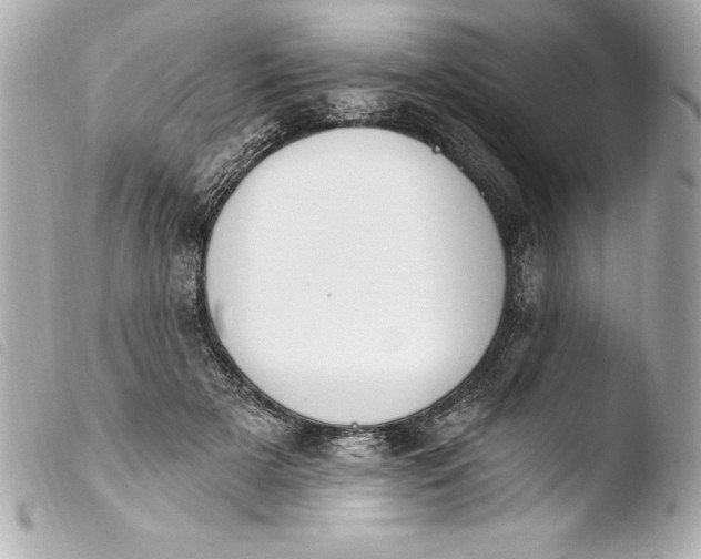 X0000103950505200810031349