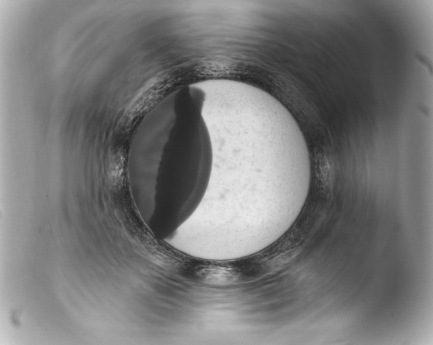 X0000103950507200810031349