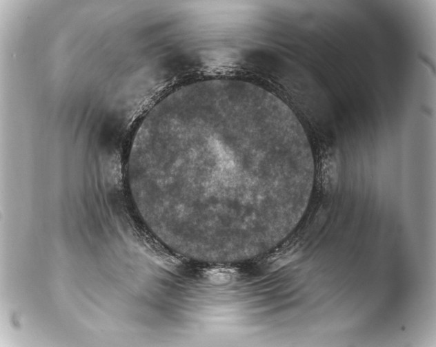 X0000103950508200810031349