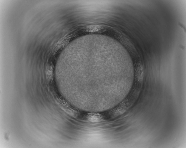 X0000103950510200810031349