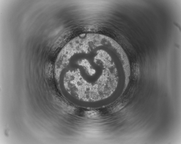 X0000103950511200810031349