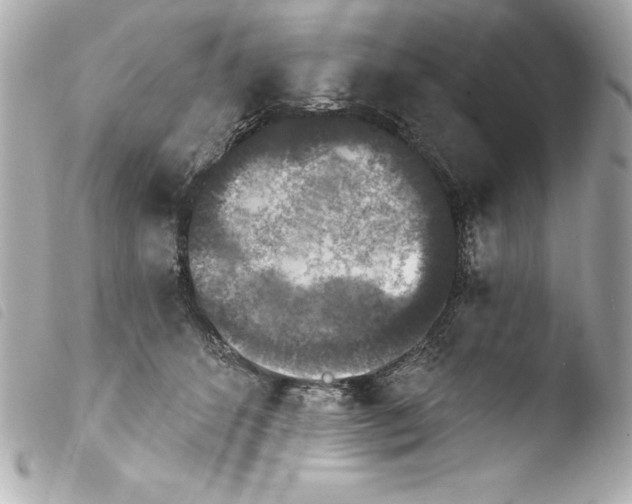 X0000103950512200810031349