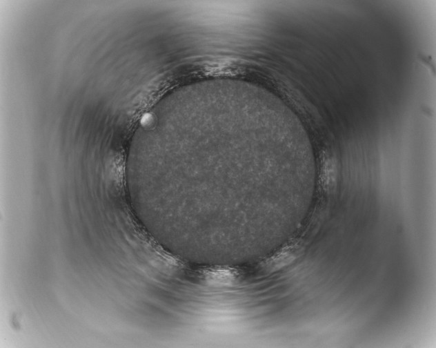 X0000103950513200810031349